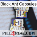 Black Ant Capsules 12